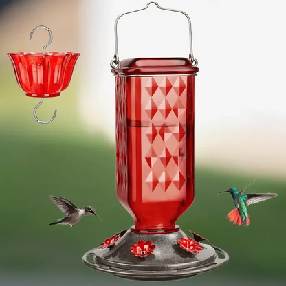 Mangeoire à Colibris — Le Spectacle au Jardin
