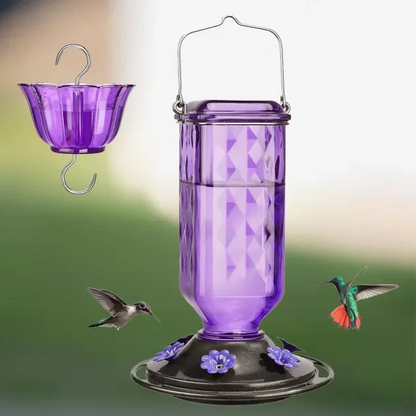 Mangeoire à Colibris — Le Spectacle au Jardin