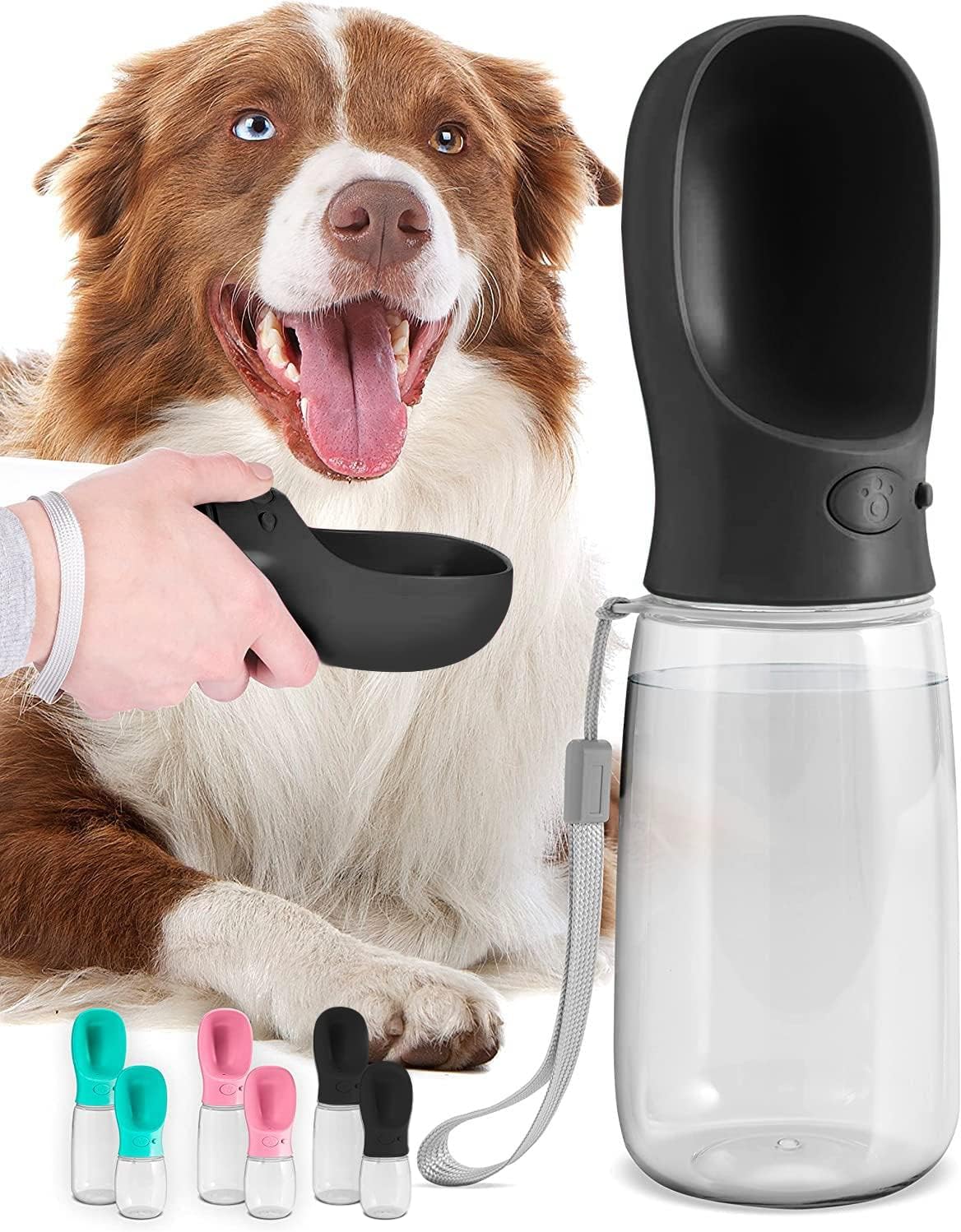 Gourde Chien 560ml — De l'Eau Partout, Facilement