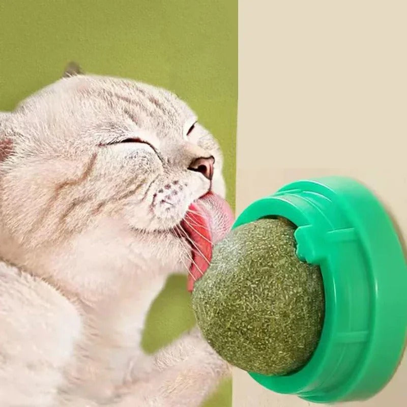 Balles Herbe à Chat x4 — Votre Chat va Adorer