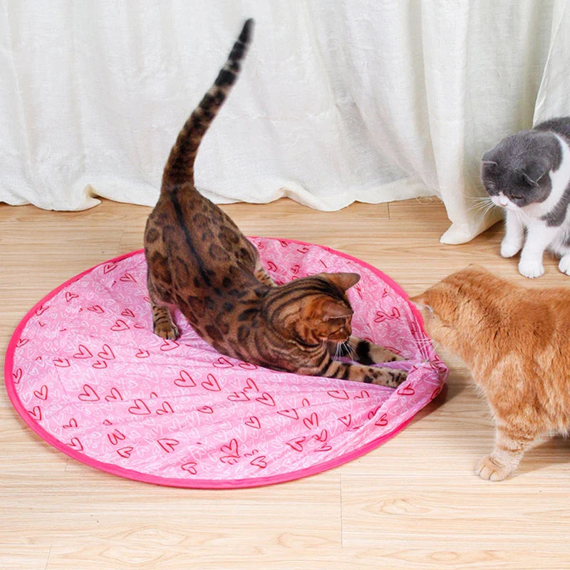 Jouet Chat 2en1 — Des Heures d'Amusement