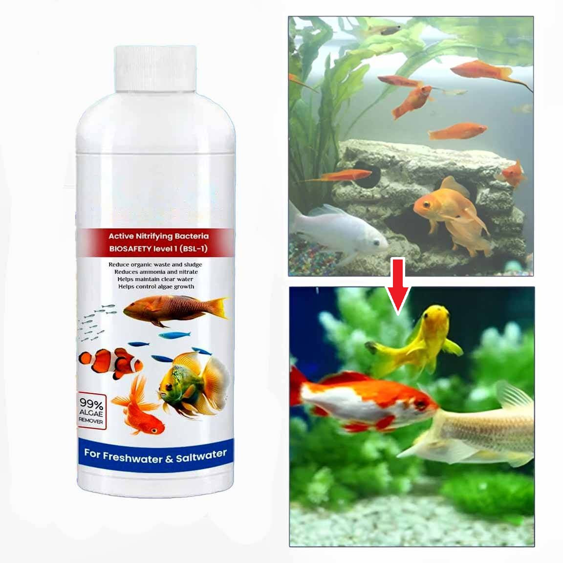Nettoyant Aquarium x3 — Eau Claire