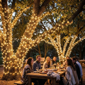 Guirlande Solaire LED Extérieure — La Magie des Soirs d'Été