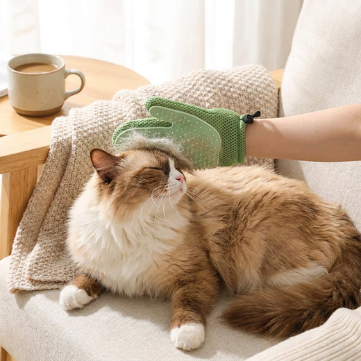 Gant Toilettage Chat — Caresses et Poils Ramassés
