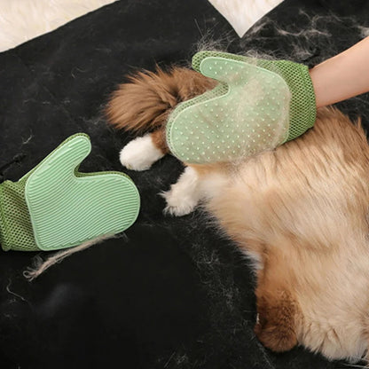 Gant Toilettage Chat — Caresses et Poils Ramassés