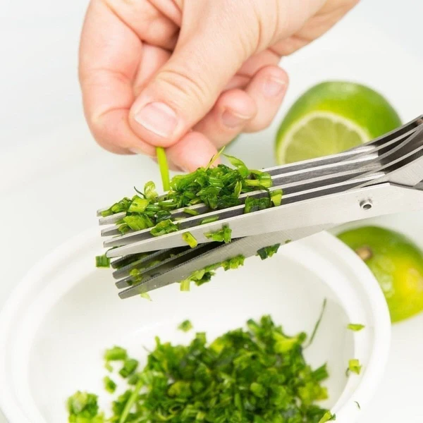 Ciseaux 5 Lames — Herbes Ciselées en 3 Secondes